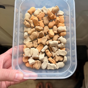 Op de afbeelding: Een doorzichtige plastic container gevuld met visvormige crackers in tinten beige, oranje en lichtbruin. De crackers zijn in een willekeurig patroon gerangschikt en vullen de container. De container wordt door een persoon vastgehouden.