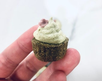 Mini Cupcake Bites, Bunny Treats, Pet Bunny Hay Based Treats