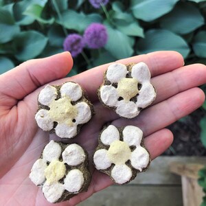 May include: Four flower-shaped dog treats with a white and yellow design. The treats are in a hand.