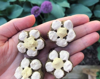 HAVERVRIJ Madeliefjestraktaties, schattige snoepjes voor konijnen en kleine dieren, snoepjes voor konijnen