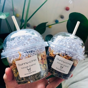 BUNNY-CINOS Forage Blend for Rabbits, Cute Pet Bunny Treats, Starbucks Inspired Pet, Food Topping and Enrichment for Bunny