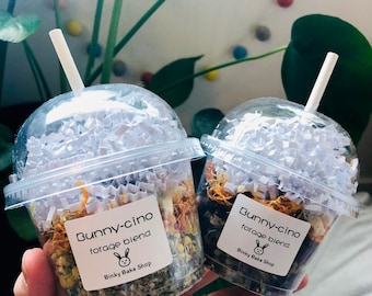 BUNNY-CINOS voedermix voor konijnen, schattige konijntjessnoepjes, op Starbucks geïnspireerd huisdier, topping en verrijking voor konijn