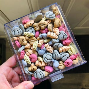 Veggie Harvest Treats, Cute Bunny Treats, Handmade Pet Rabbit Treats and Toys