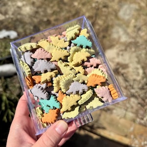 May include: A clear plastic container filled with colourful dinosaur-shaped cereal. The cereal is in shades of yellow, orange, green, purple, and pink.
