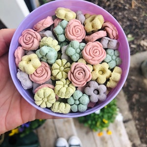 Könnte beinhalten: Eine lila Schüssel gefüllt mit pastellfarbenen, blumenförmigen Leckerlis für Hunde. Die Leckerlis sind in den Farben Rosa, Grün, Gelb und Lila.