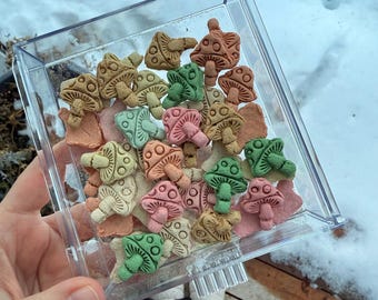Mushy Mushroom Mix, Training and Bonding Treats for Pet Rabbit, Small Animal Treats