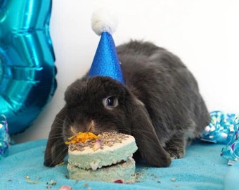 Gâteau personnalisé, gâteaux pour petits animaux pour les anniversaires et le jour Gotcha, gâteau de friandises pour lapins, friandises pour lapins pour animaux de compagnie