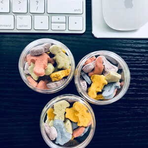 Puede incluir: Tres tarros de vidrio transparente llenos de galletas con forma de animales de colores. Las galletas son de color rosa, amarillo, azul y verde.