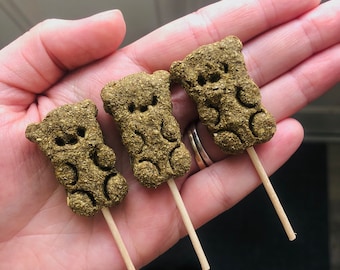 Bear Pops, Cute Oat Free Hay Based Treats, Bunnies and Rabbits