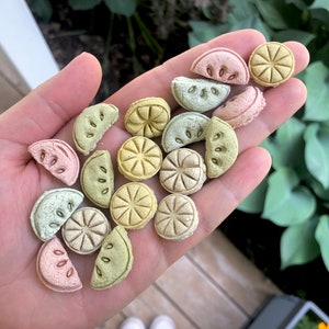 Könnte beinhalten: Eine Handvoll bunter, fruchtförmiger Leckerlis. Die Leckerlis haben die Form von Zitronenscheiben und ganzen Zitronen, mit einer Vielzahl von Pastellfarben, darunter Rosa, Grün und Gelb. Die Leckerlis haben ein strukturiertes Aussehen.