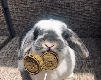 Oat Free Bunny Treat Popsicles, Cute Natural Homemade Rabbit Treats and Snacks, Popsicles for Small Pets