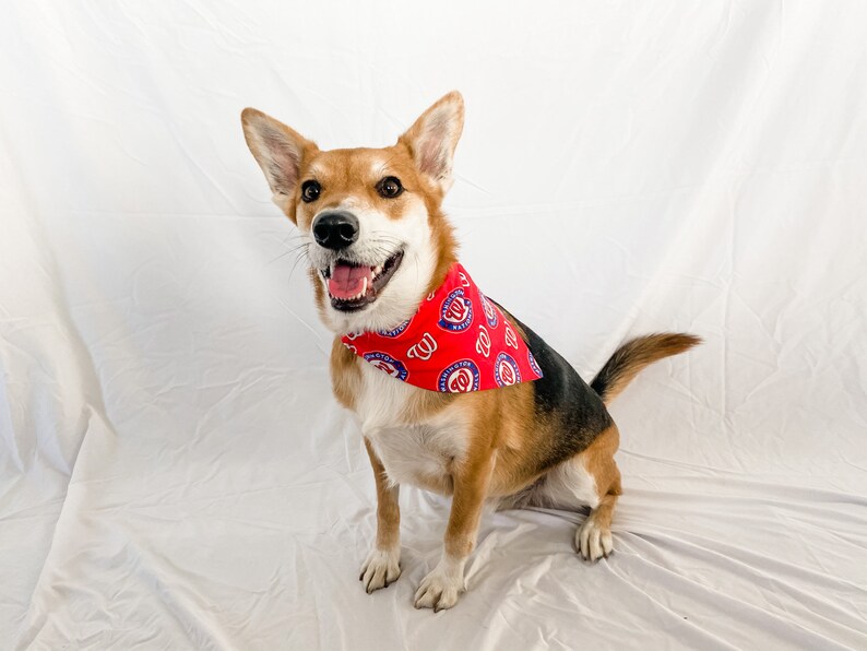 Sports Team Dog Bandana Through-Collar
