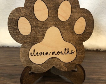 Pet Milestone Sign - Interchangeable - Digital Cut File
