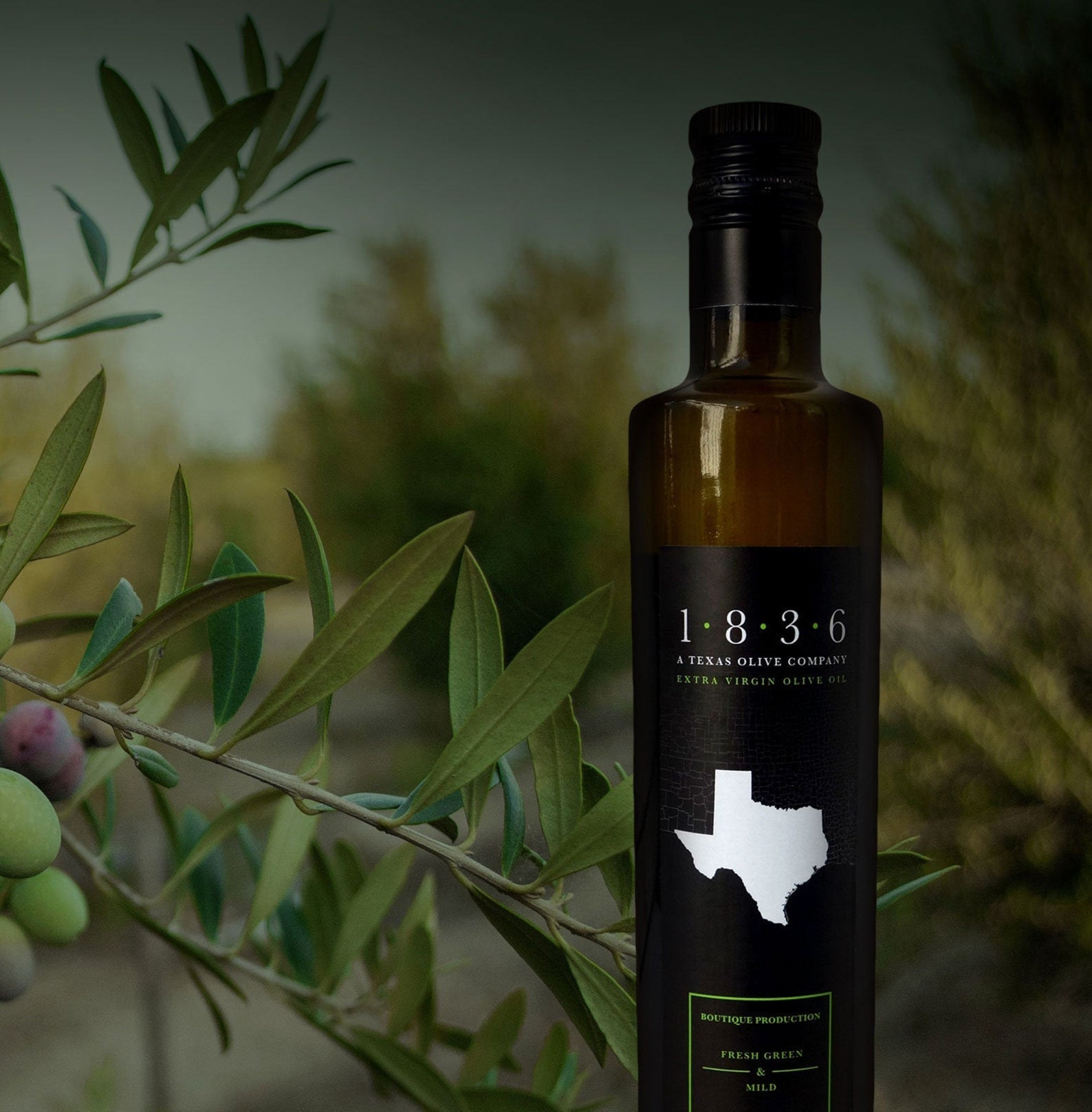 500mL Extra Virgin Olive Oil from 1836 A Texas Olive Company Etsy