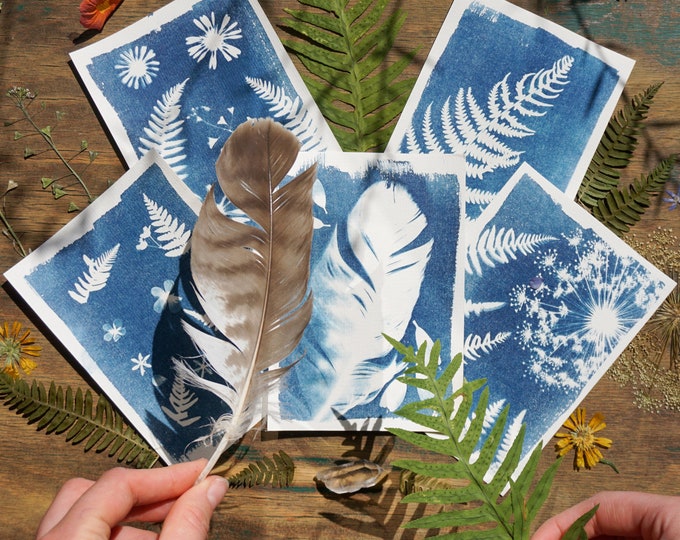 Cyanotype Kit Sonnendruck - Blaupausen Auf Papier & Stoff Für Kreativprojekte