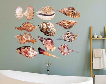 May include: A collection of 14 seashells in various shapes, sizes, and colors, including brown, white, and orange, arranged on a light blue wall above a white bathtub.
