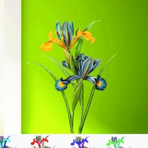 May include: A wall decal featuring a cluster of blue and yellow iris flowers with green leaves. The decal is shown on a green wall in a room with a window and a potted plant.