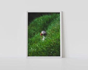 Faroe Islands Puffin Photo Print: Travel Wall Art, Wildlife Home Decor
