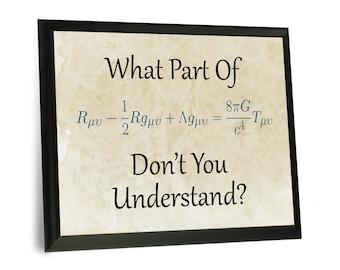 Physics Teacher Student Plaque Sign Gift - Einstein Calculus - Physics Professor Major Graduate Graduation
