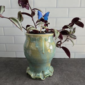 Peut inclure: Un pot en céramique vert et jaune glacé avec une base à volants, contenant une plante d'intérieur aux feuilles violettes et vertes. Une décoration de papillon bleu est placée dans le sol.