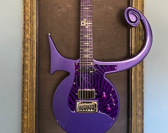 Tribute to Prince Guitar