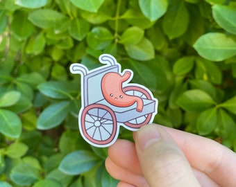 Stomach in a wheelchair sticker, chronic illness sticker, laptop sticker, water bottle sticker, cute sticker