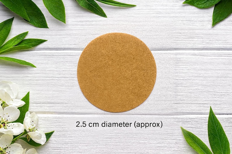 Może przedstawiać: Okrągła tarcza w kolorze opalenizny o teksturowanej powierzchni. Obiekt jest oznaczony tekstem 2.5 cm diameter (approx), wskazującym na jego rozmiar. Tarcza ma płaski, jednolity wygląd i sp&oacute;jny jasnobrązowy kolor na całej swojej powierzchni.