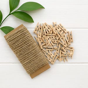 May include: A rectangular cardboard spool wrapped with thick brown jute twine and a collection of small, light-coloured wooden clothespins with silver metal springs, accompanied by a green leafy branch with several pointed leaves.