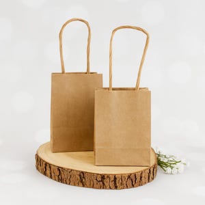 May include: Two rectangular brown paper gift bags with twisted paper handles. The bags are standing upright, featuring a plain, smooth texture and a natural tan colour. The design is simple, functional, and consistent in appearance for both items.