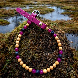 CUSTOM Cedar Tick Collars - For Dogs with Cat Option