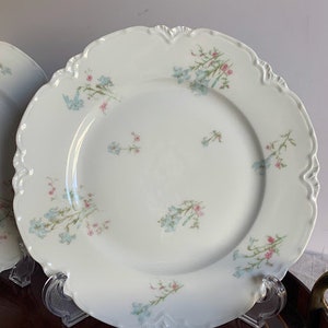 Reduced Price-Antique Haviland & Co, Limoges France, Set of 3 Salad Plates in Schleiger 229 Pattern, Circa 1888-1931