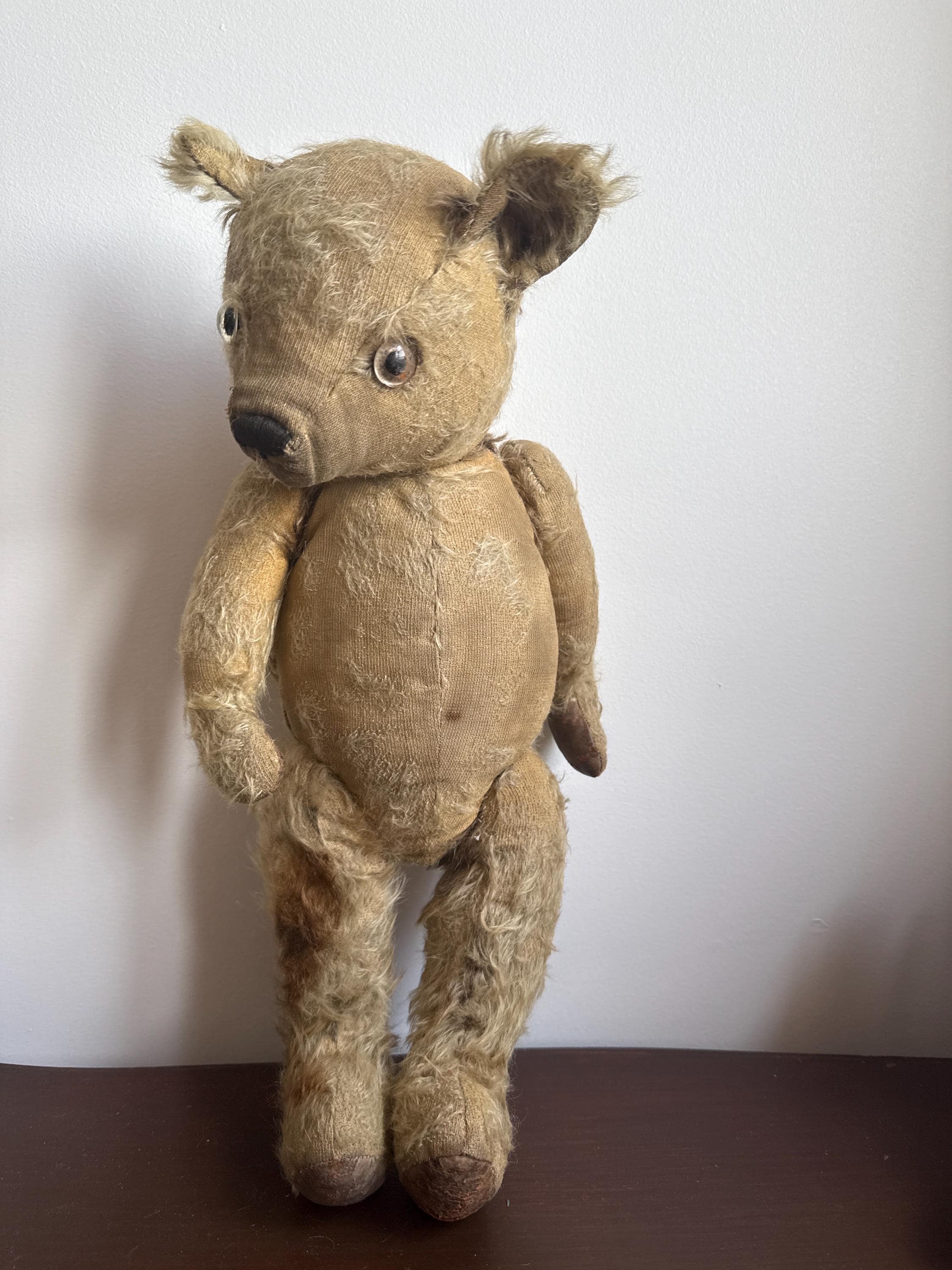 Farnell bear - Etsy 日本