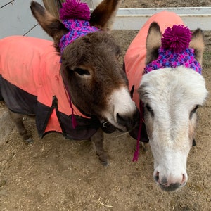 Single Color or Multicolor Yarn Pet Hat