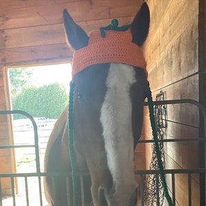 Equine Pumpkin Hat