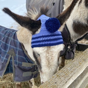 Puede incluir: Un burro con un gorro de ganchillo azul y morado hecho a mano con un gran pompón. El gorro es rayado y cubre las orejas del burro. El burro también lleva una manta a cuadros azul. El fondo muestra un campo nevado y una valla de madera.