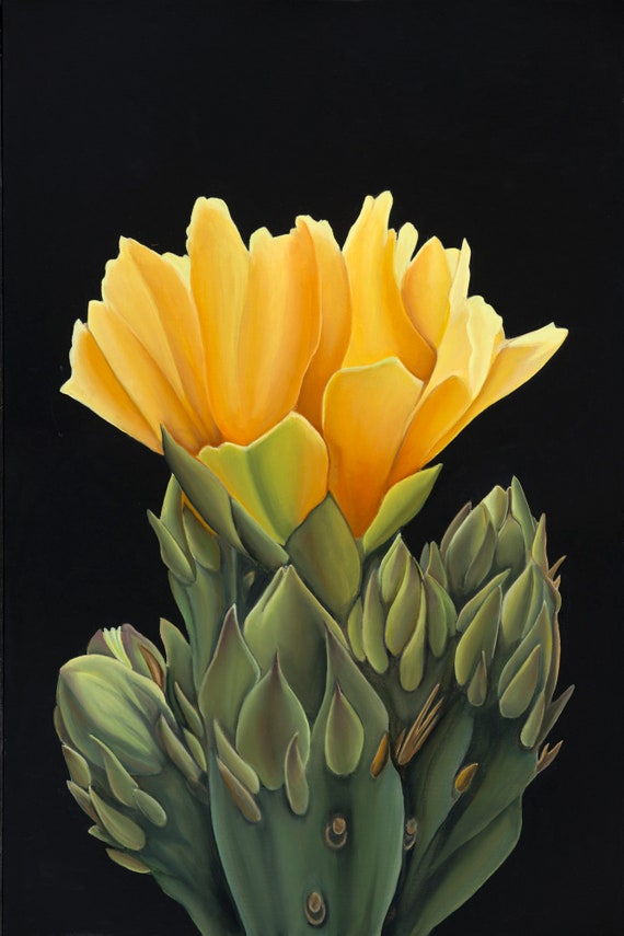 Blooming Cactus Original Framed