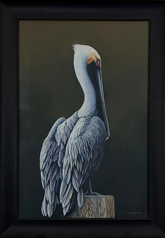 Pelican Original Framed