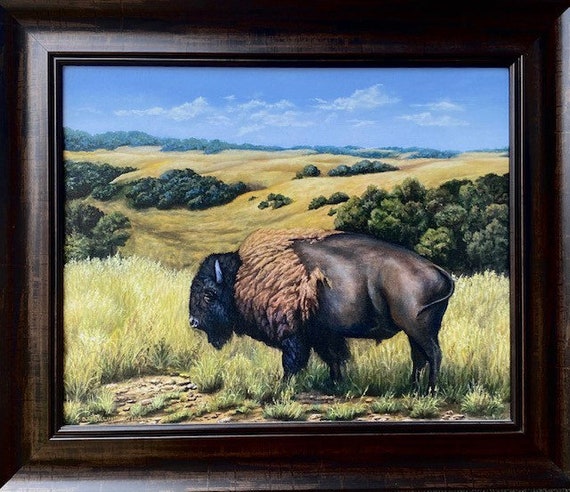 Buffalo Framed Giclee