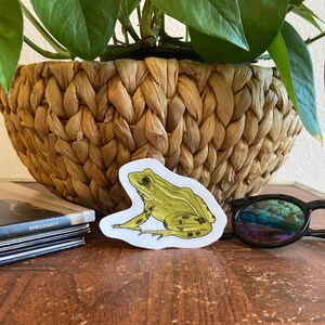 May include: A sticker featuring a detailed illustration of a frog in shades of green and yellow. The frog is positioned on a white background. The sticker is placed on a wooden surface, with a woven basket and sunglasses in the background.