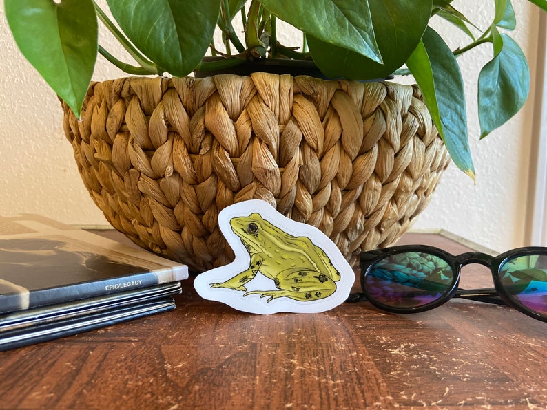 May include: A sticker featuring a detailed illustration of a frog in shades of green and yellow. The frog is positioned on a white background. The sticker is placed on a wooden surface, with a woven basket and sunglasses in the background.