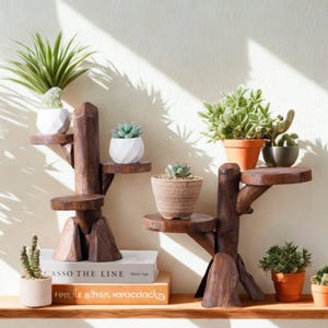 May include: Two wooden plant stands with multiple tiers, each holding potted plants. The stands are made of dark brown wood and have a natural, tree-like design. Various succulents and other plants are displayed in white, terracotta, and patterned pots.
