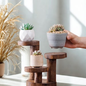 May include: Three small succulent plants in decorative pots, displayed on a tiered wooden stand. The pots are white, grey, and beige, with the plants featuring green and tan foliage. The stand has a natural wood finish.