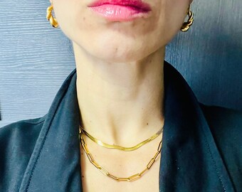 Lili Choker: Colar com corrente de cobra espinha de peixe de 4 mm, joias em camadas douradas