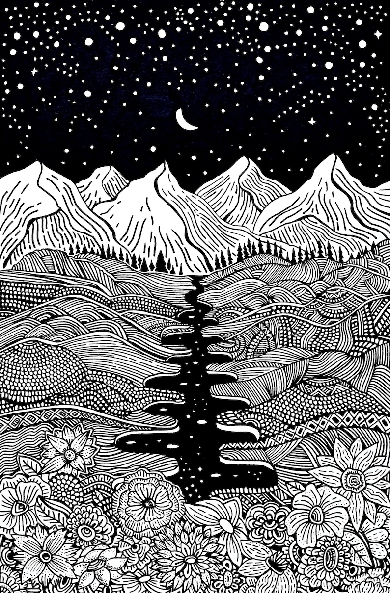 Wonders of Night Ink Art Wall Hanging Art Print Pen Drawing Nature Landscape Moon Night Mountains Flowers Home Decor image 3