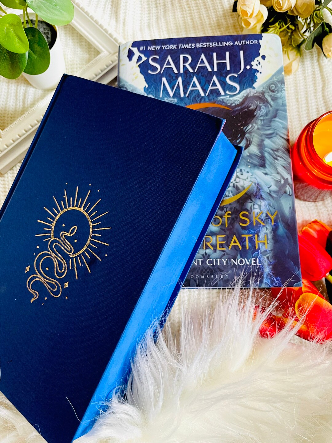 Fairyloot Crescent City book one & two special edition