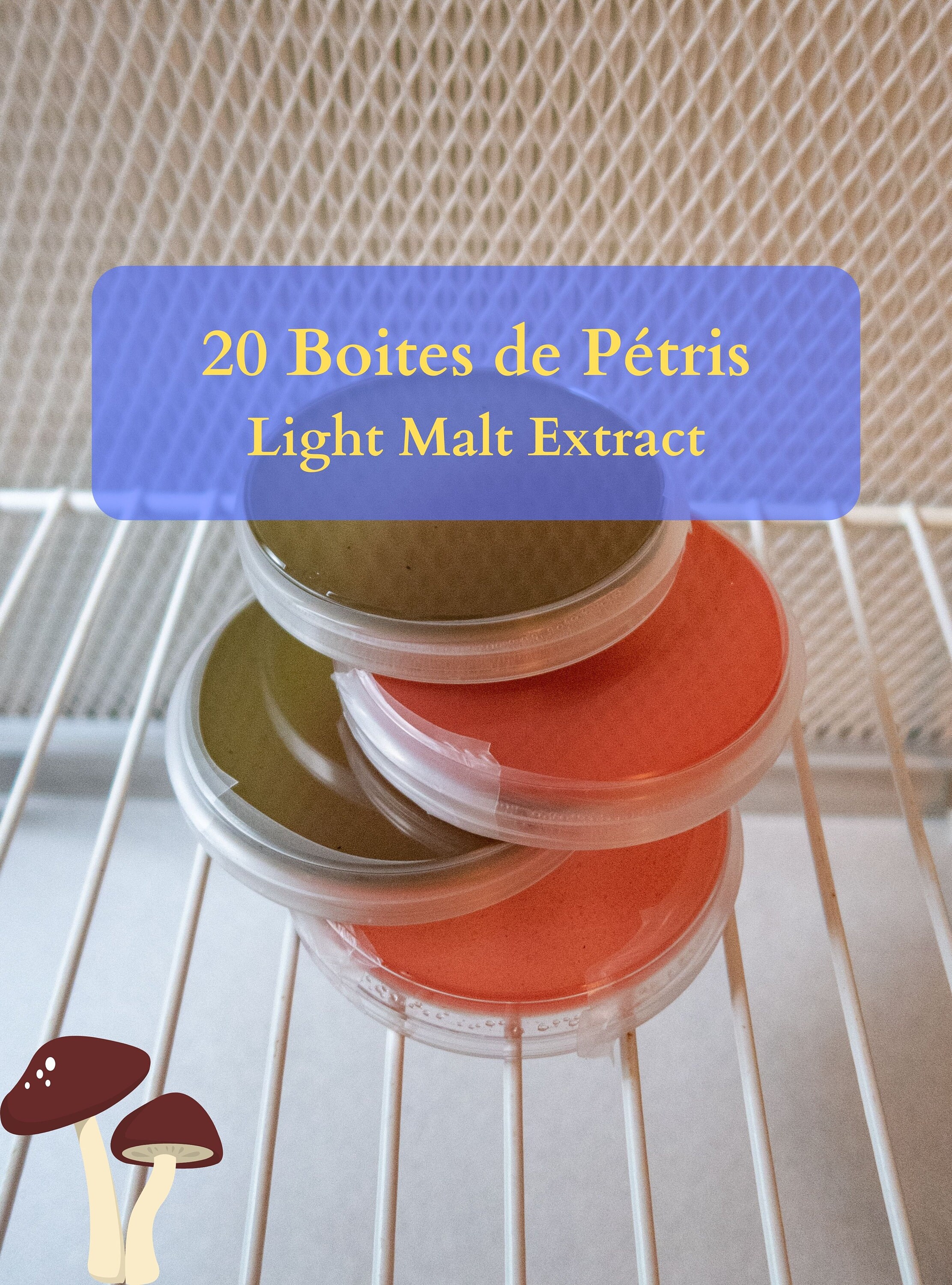 20x Boites de Pétri Remplies, Stérile - Milieu Extrait Malt | Mea Culture Champignon Sterile Petri D