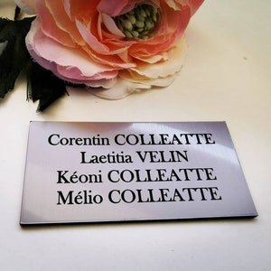 Plaque de boite aux lettres avec pictogramme fleur