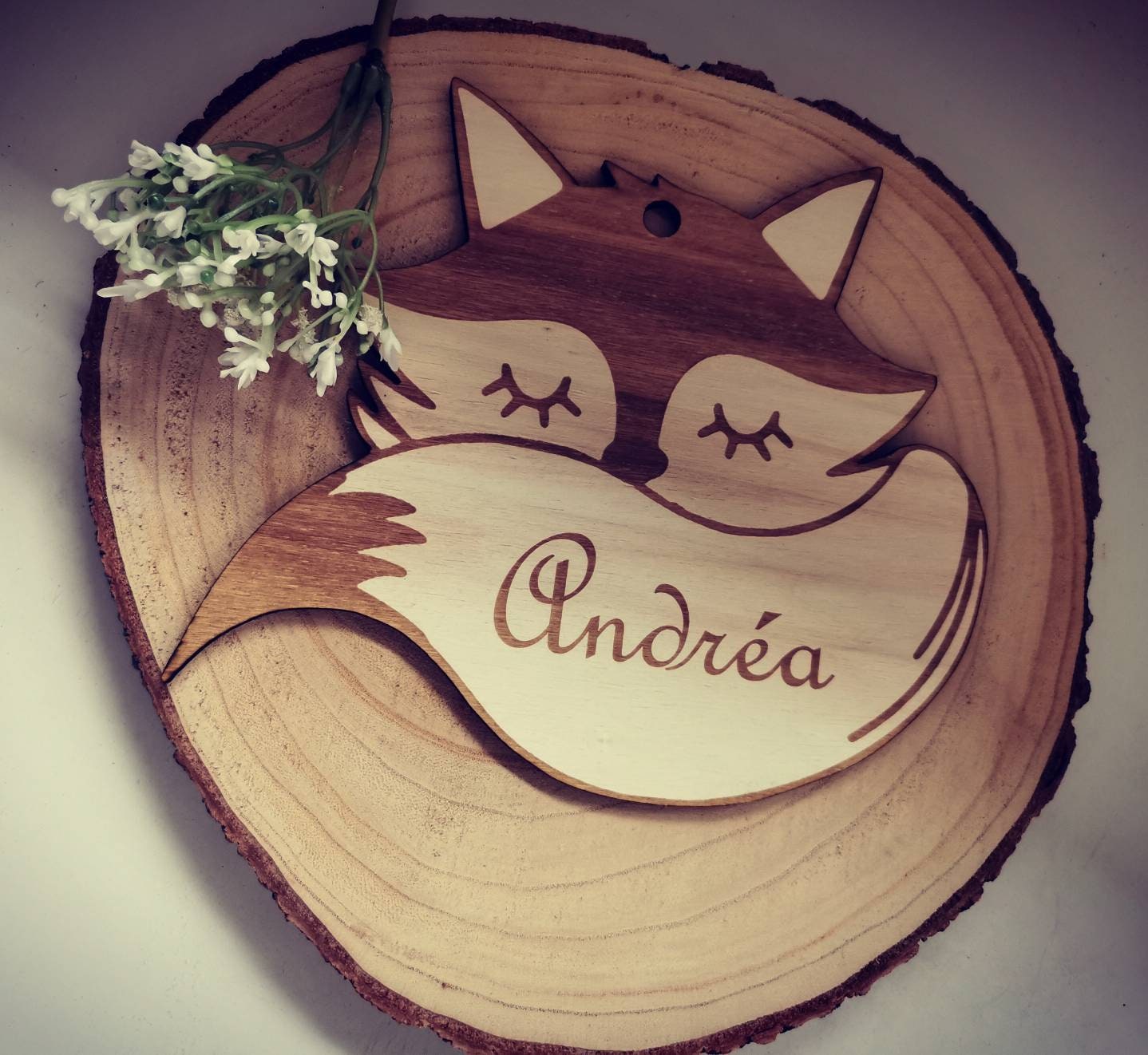 Plaque de Porte en Bois