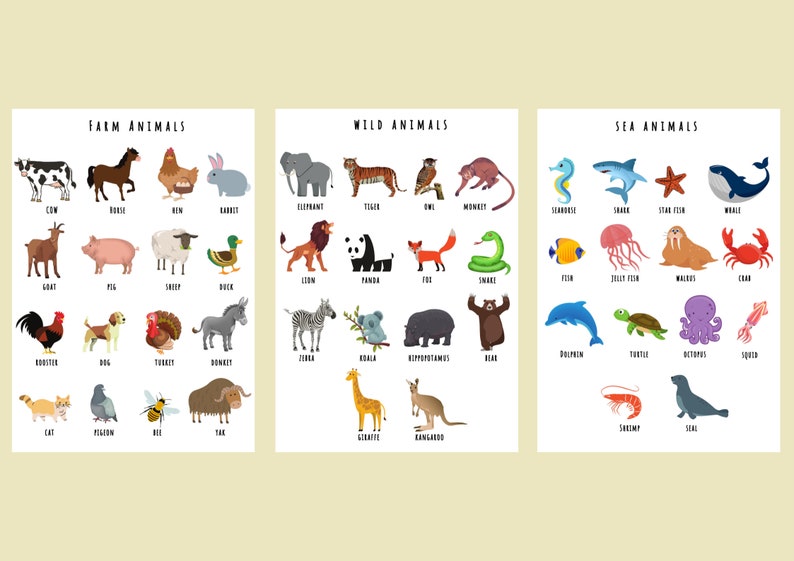 Set of 20 Educational Wall Posters 20 Homeschool Wall Posters Etsy