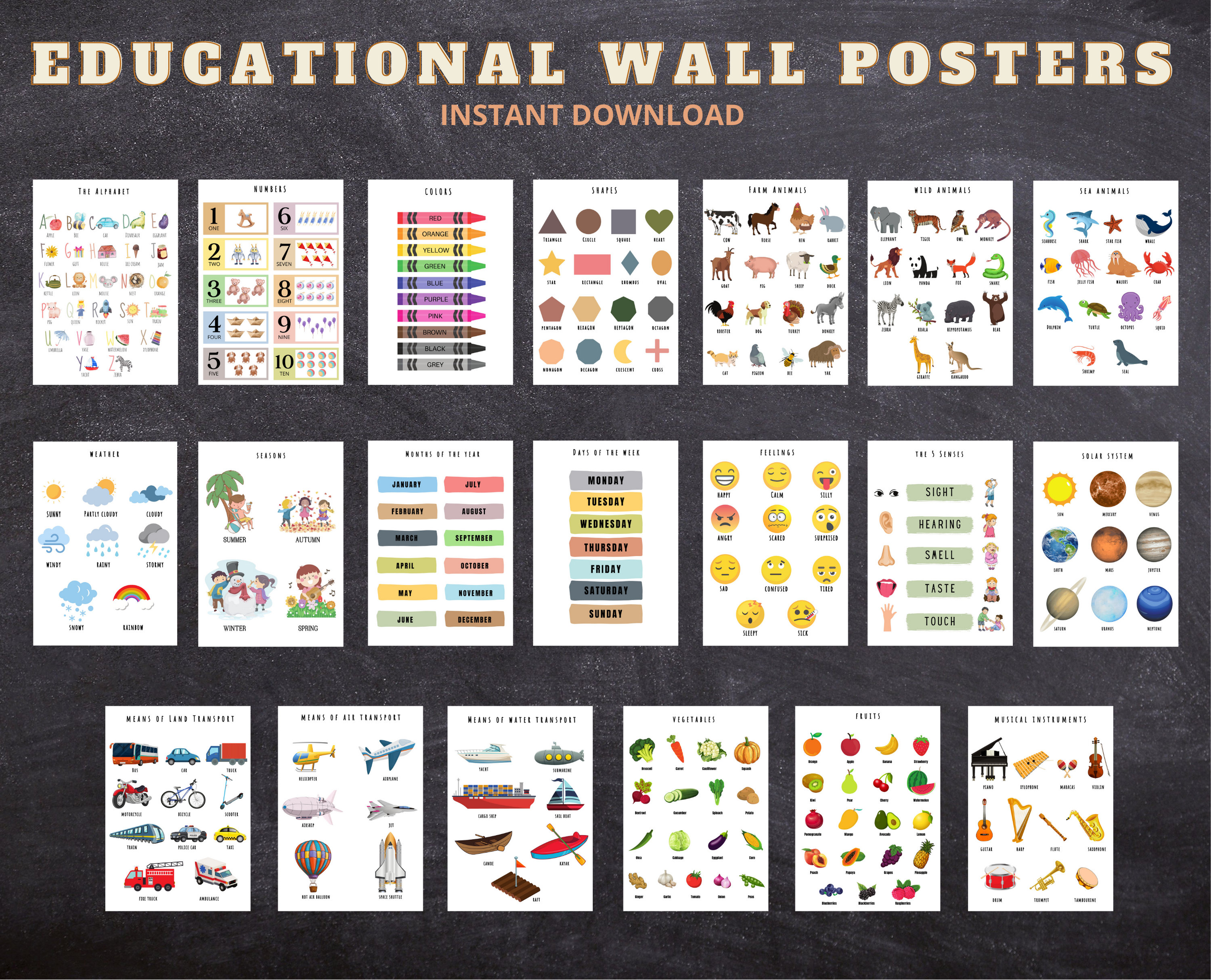Set of 20 Educational Wall Posters 20 Homeschool Wall Posters Etsy